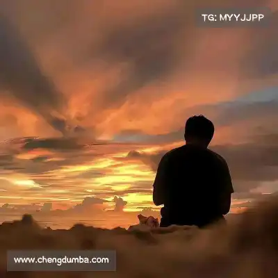 曹含尤